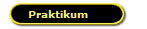 Praktikum